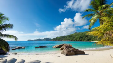 Beautiful:1lsfxpy_Qdg= Beach Pictures