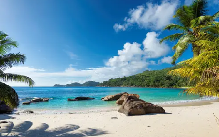 Beautiful:1lsfxpy_Qdg= Beach Pictures