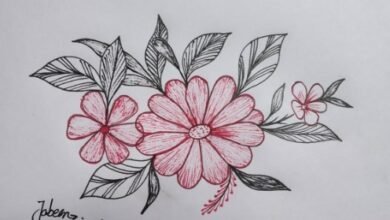 Beautiful:_-8ey6u6pwg= Flower Drawing