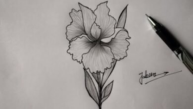 Beautiful:_-8ey6u6pwg= Flower Drawing