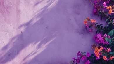 Pastel:8dnohhkklmu= Lilac Colour