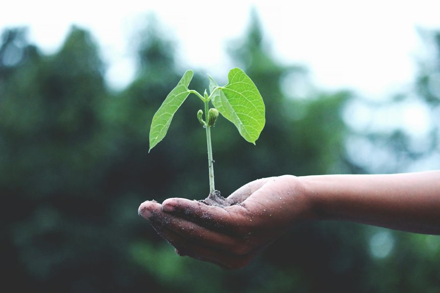 nippon indian growth initiative