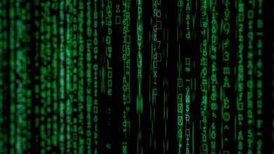 numbers and nodes portal