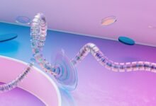 lima network compliance contacts