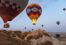 admission sequencing identifier brief