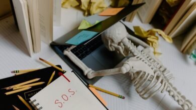 organizational insights for entities