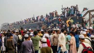 system code population analysis