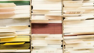 system index establishment details