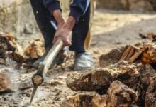 system reference activation log