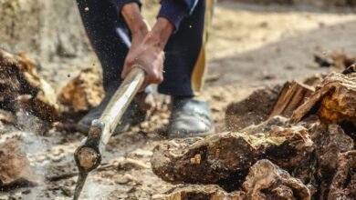 system reference activation log